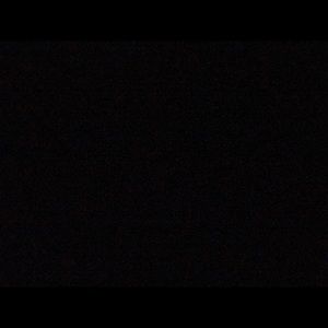 Meet your Posher, Rose